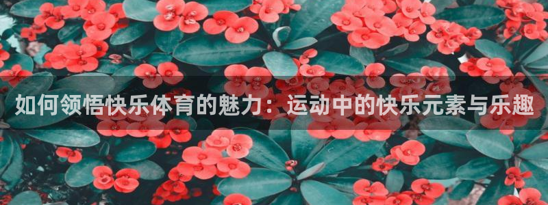 抖球体育直播：如何领悟快乐体育的魅力：运动中的快乐元素与乐趣