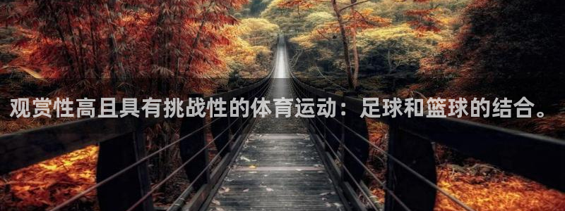 抖球体育：观赏性高且具有挑战性的体育运动：足球和篮球的结合。