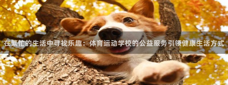 抖球体育直播：在繁忙的生活中寻找乐趣：体育运动学校的公益服务引领健康生活方式