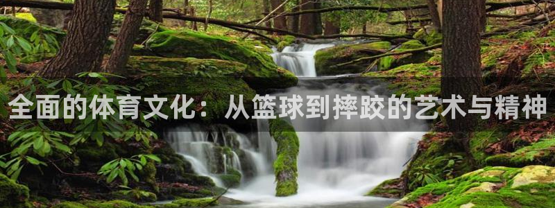 抖球体育：全面的体育文化：从篮球到摔跤的艺术与精神