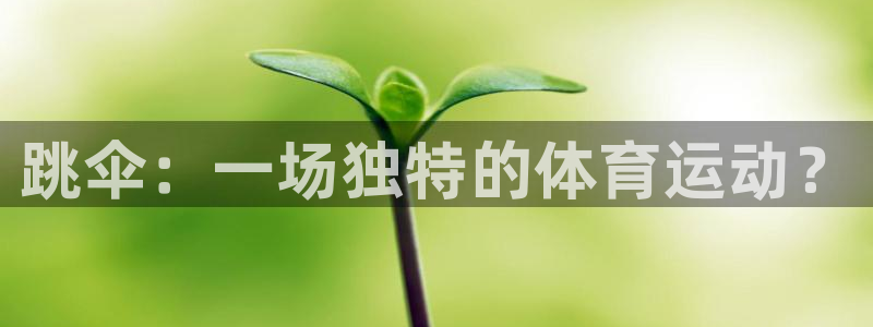 抖球体育：跳伞：一场独特的体育运动？