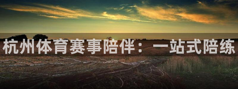 抖球体育直播：杭州体育赛事陪伴：一站式陪练