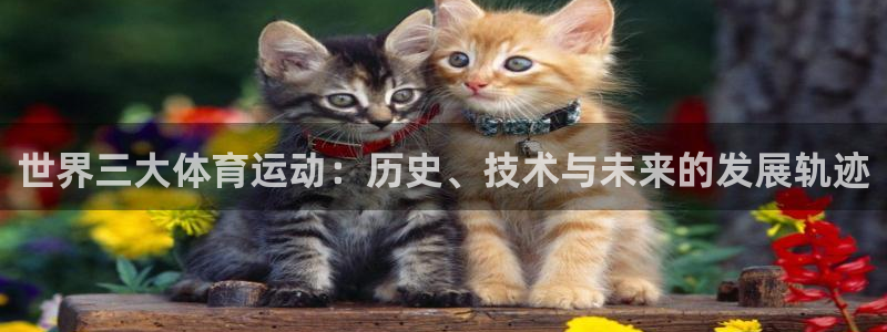 抖球体育：世界三大体育运动：历史、技术与未来的发展轨迹