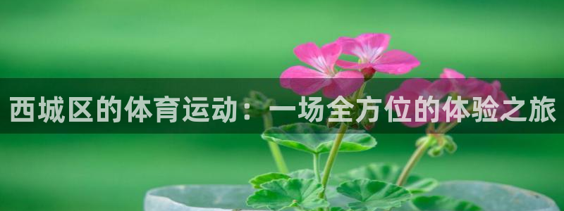 抖球体育：西城区的体育运动：一场全方位的体验之旅